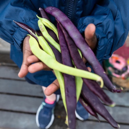 Fondation Kitchen Garden - Enseigner la joie de la vraie nourriture